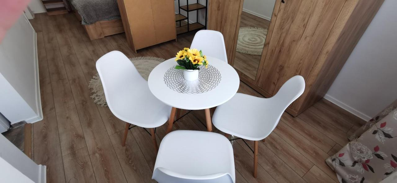 Ana Studio Apartment Targu Mures Ngoại thất bức ảnh